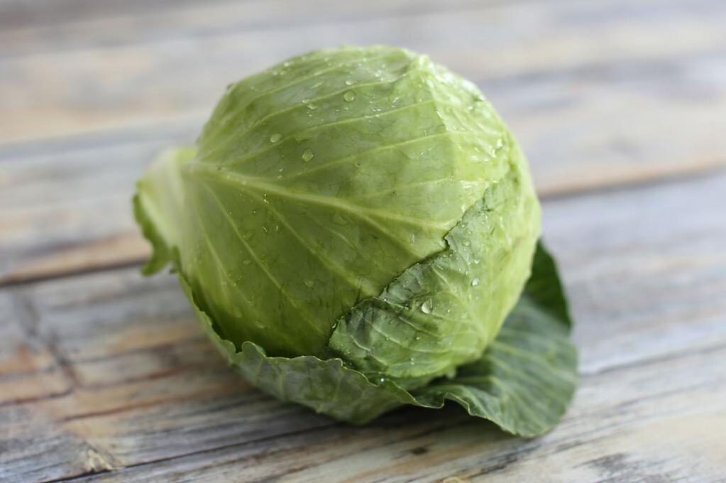 Cabbage leaf